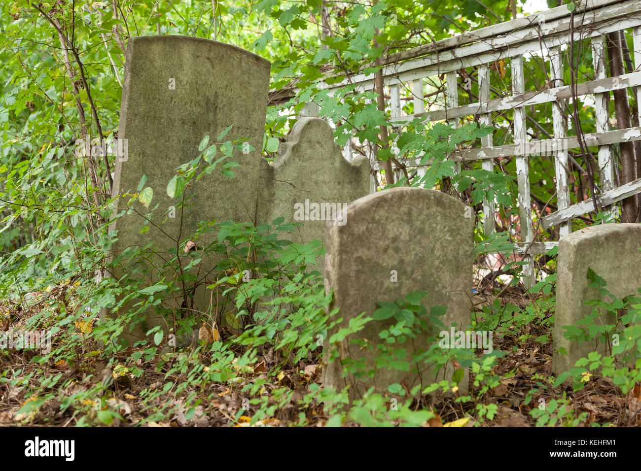 METUCHEN, NEW JERSEY October 16, 2017 A view inside the historic