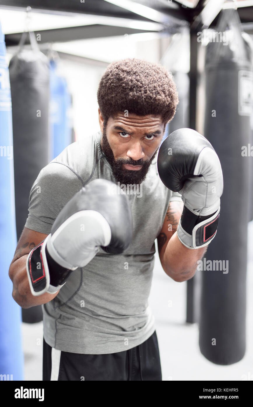 Portrait of Black man wearing boxing gloves in gymnasium Stock Photo - Alamy