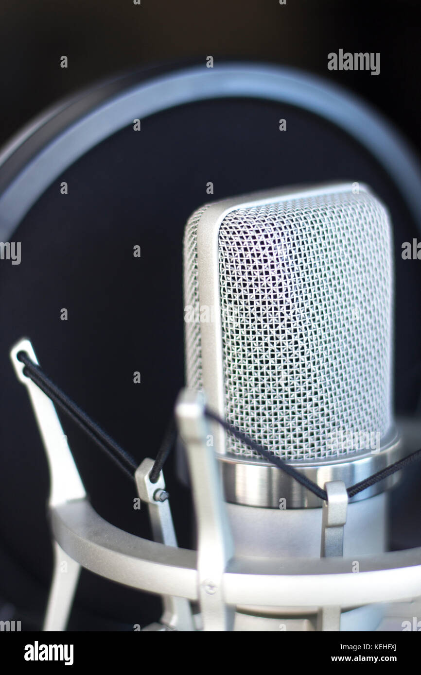 Large diaphragm condenser studio recording voice microphone to record ...