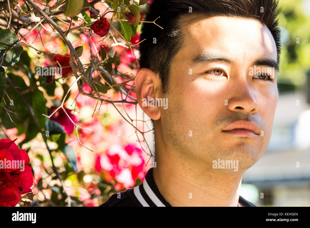 Portrait of serious Chinese man near flowering tree Stock Photo