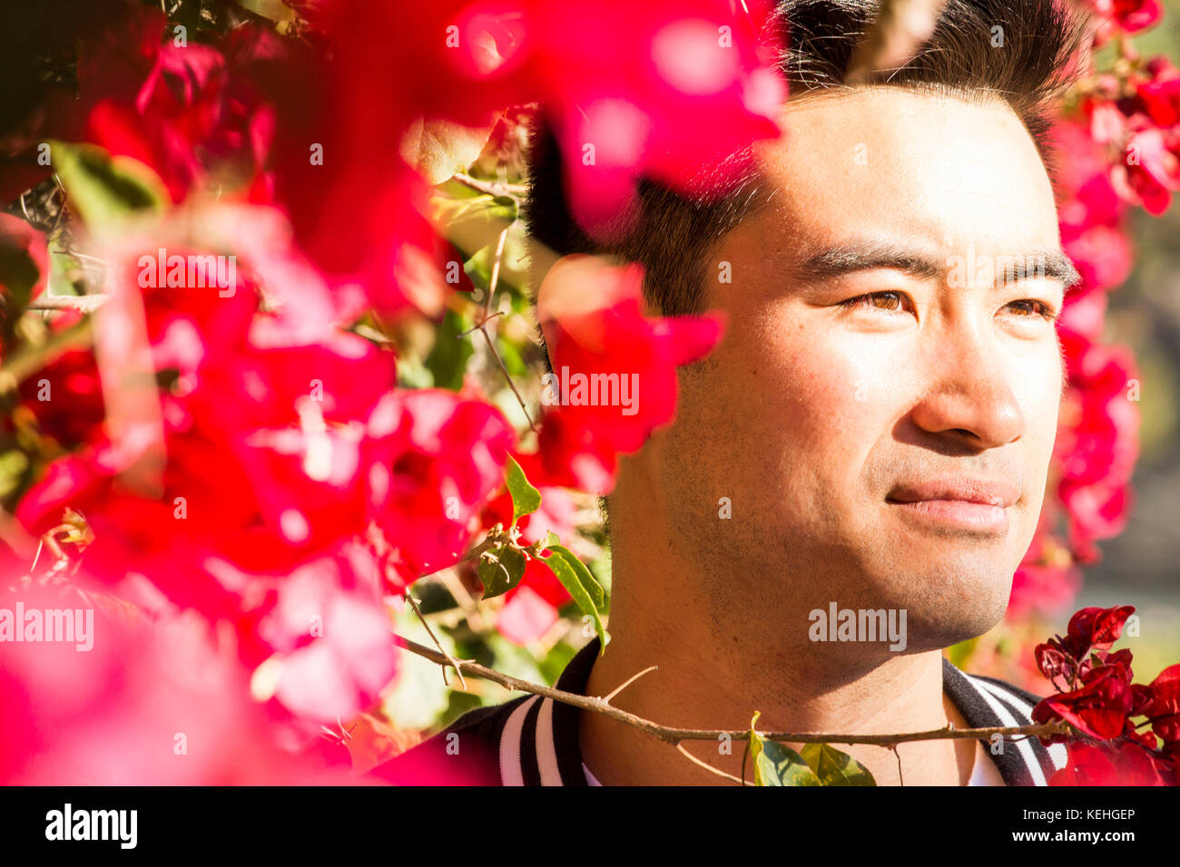 Portrait of smiling Chinese man near flowering tree Stock Photo