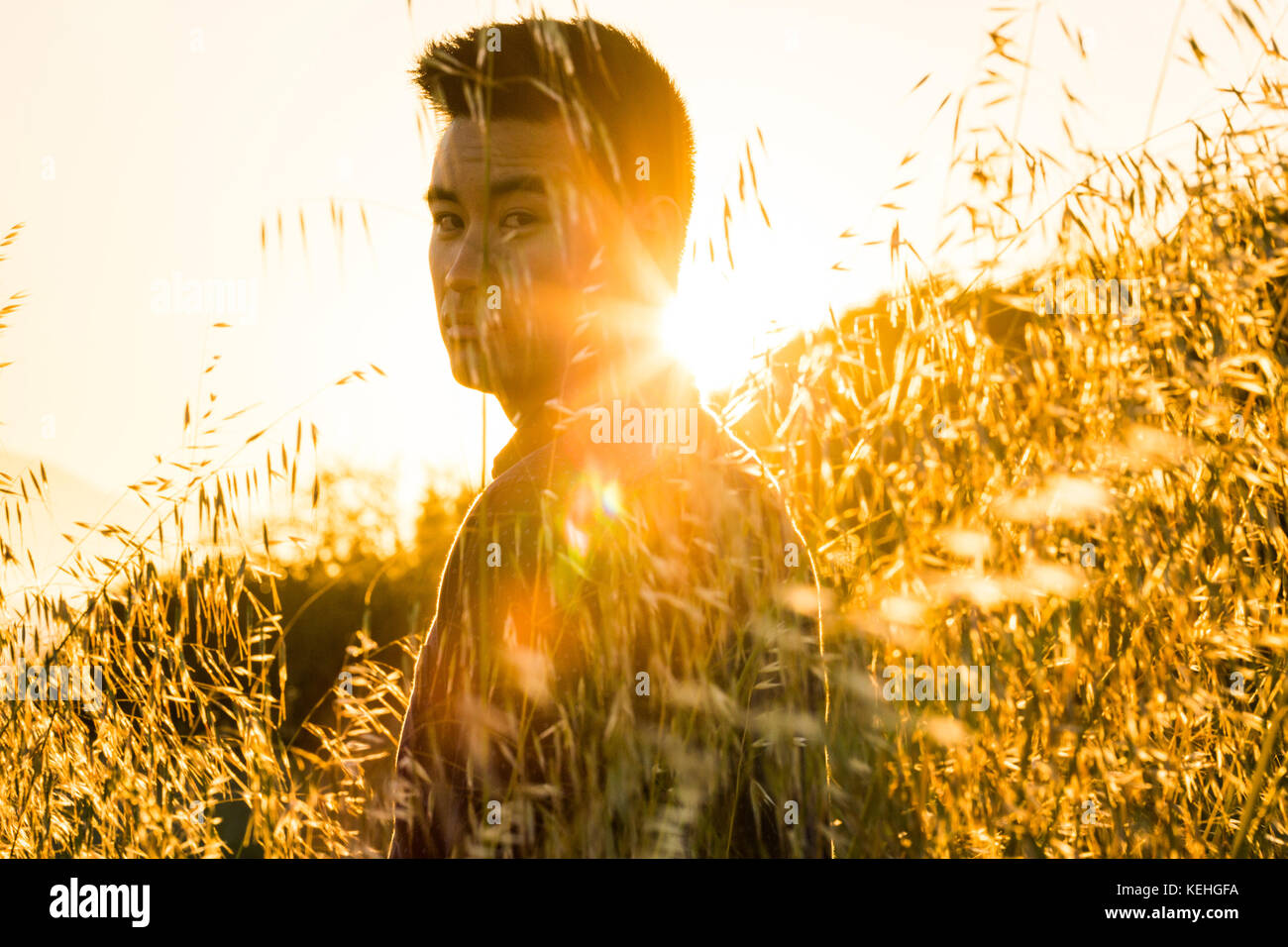 Serious Chinese man standing in field of wheat Stock Photo