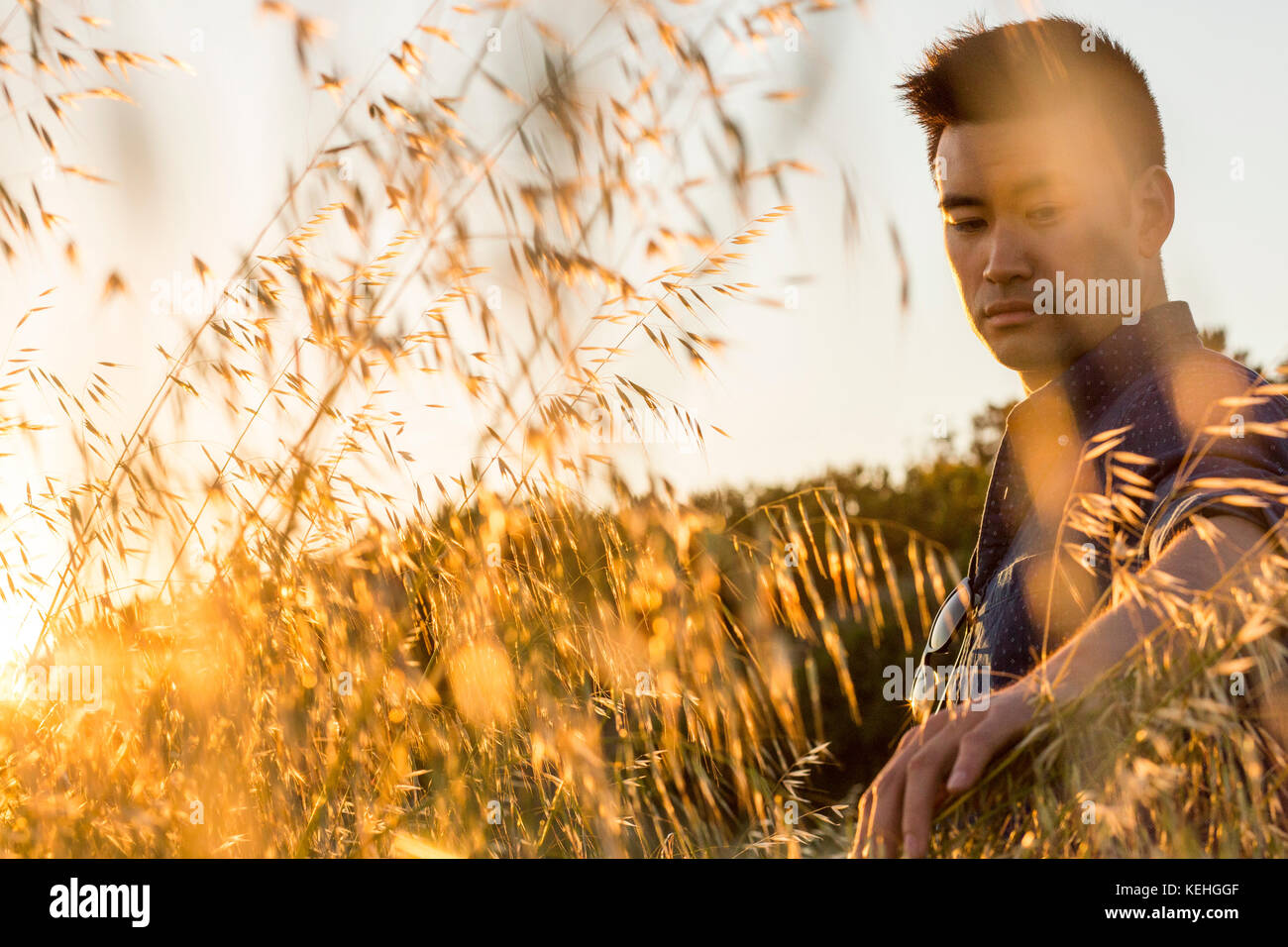 Serious Chinese man sitting in field of wheat Stock Photo