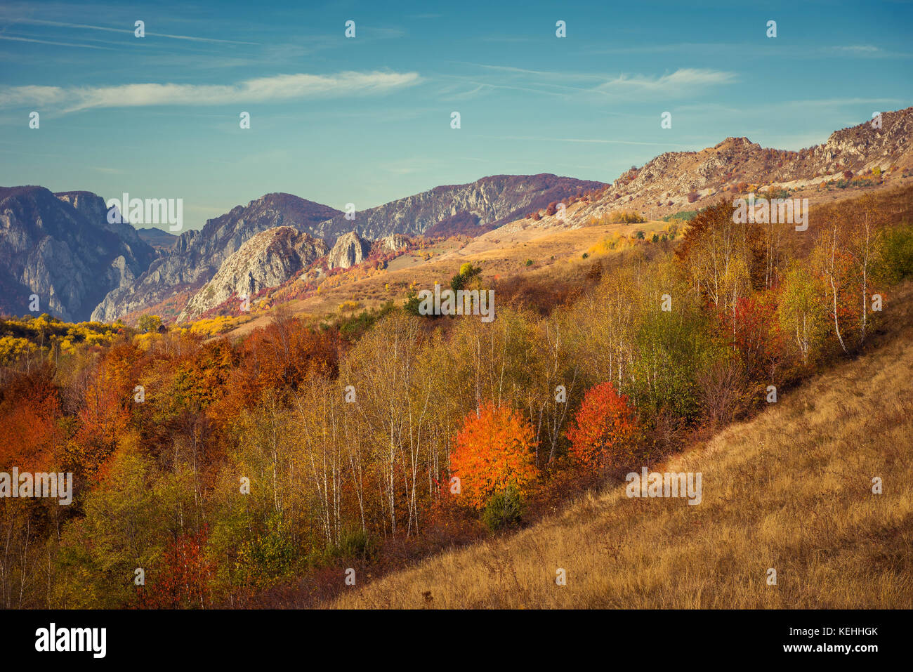 Mountain autumn landscape with colorful forest. Filtered image Stock ...
