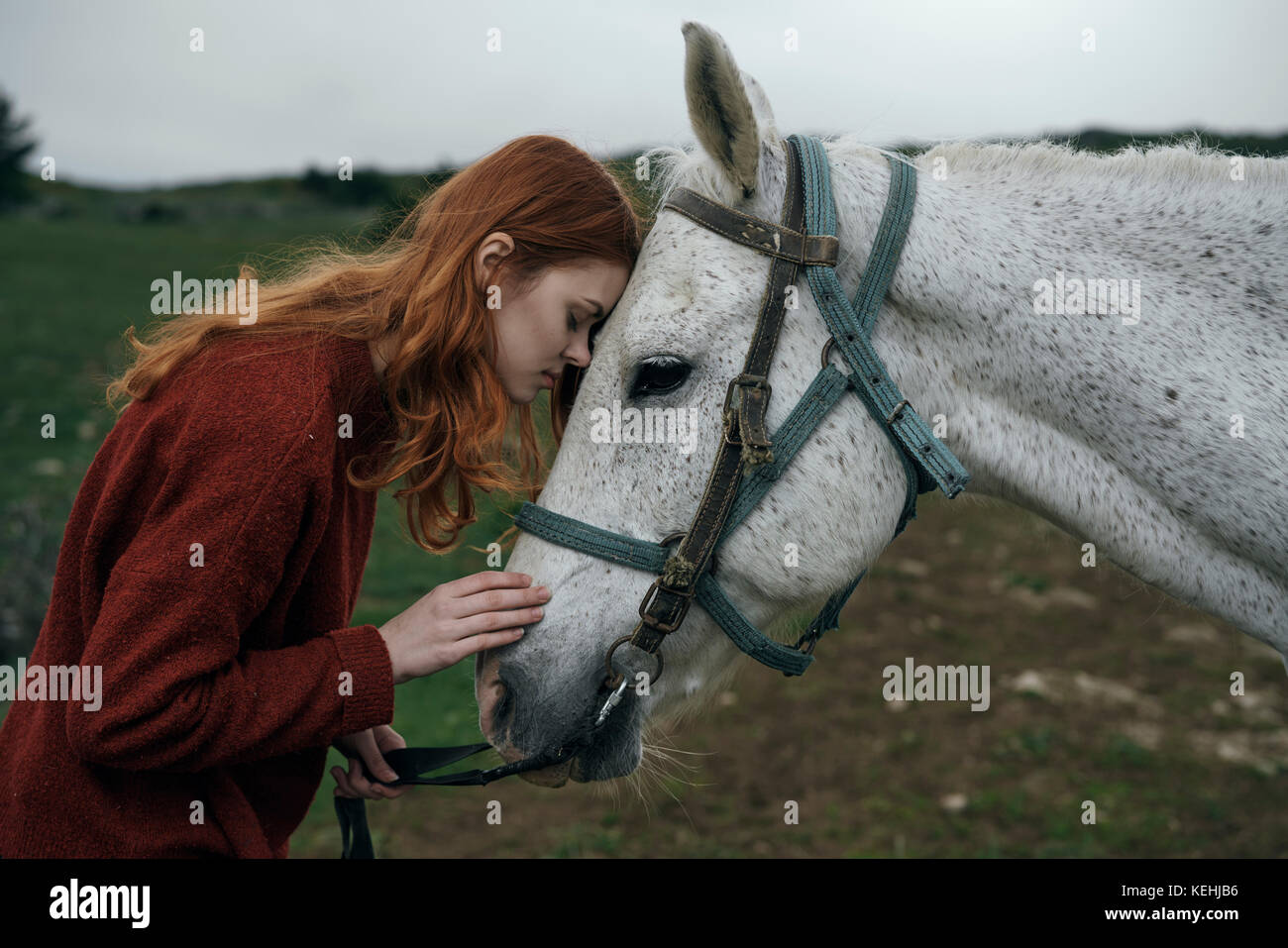 Caucasian woman petting horse Stock Photo