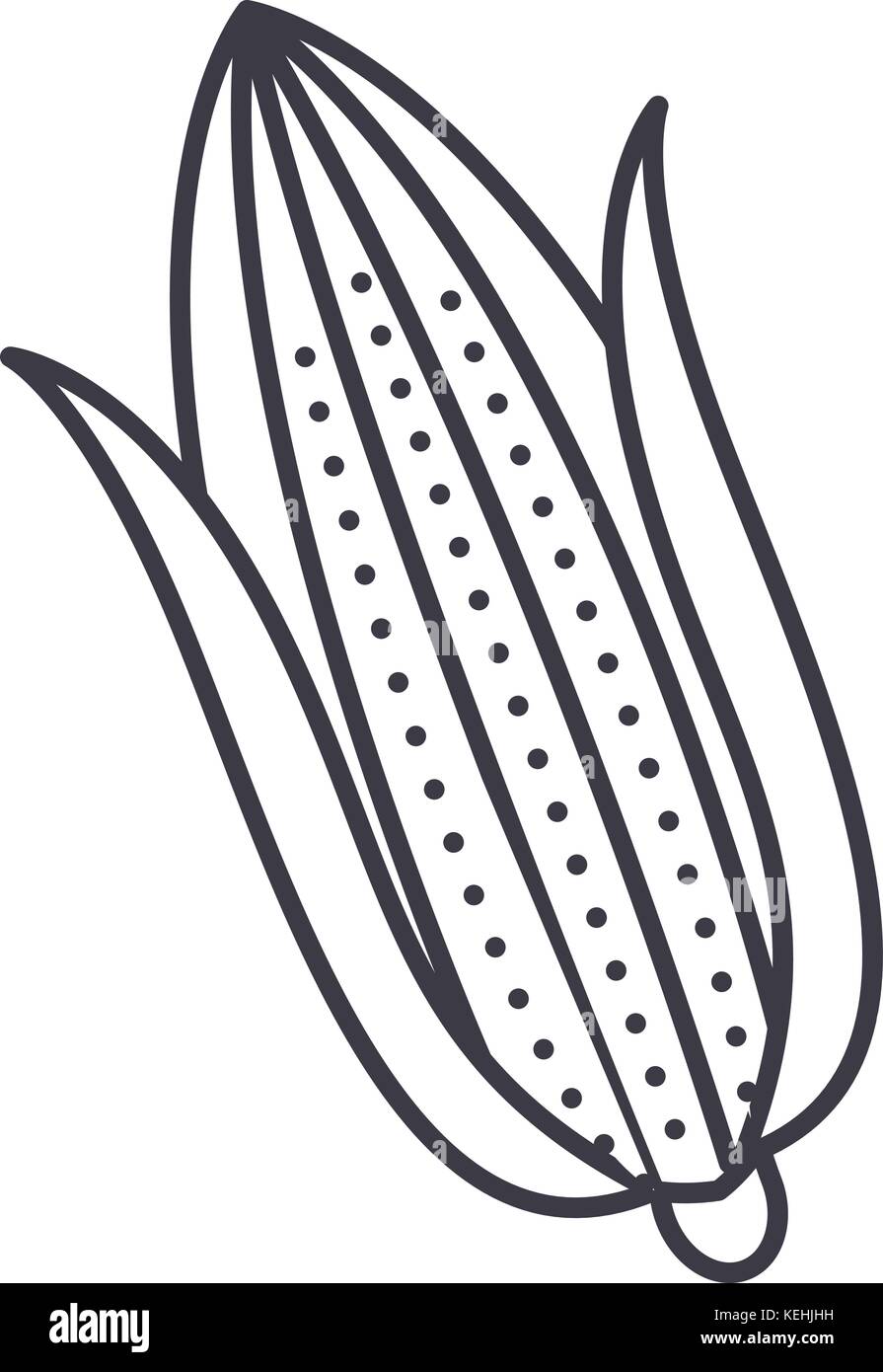 corn vector line icon, sign, illustration on background, editable ...