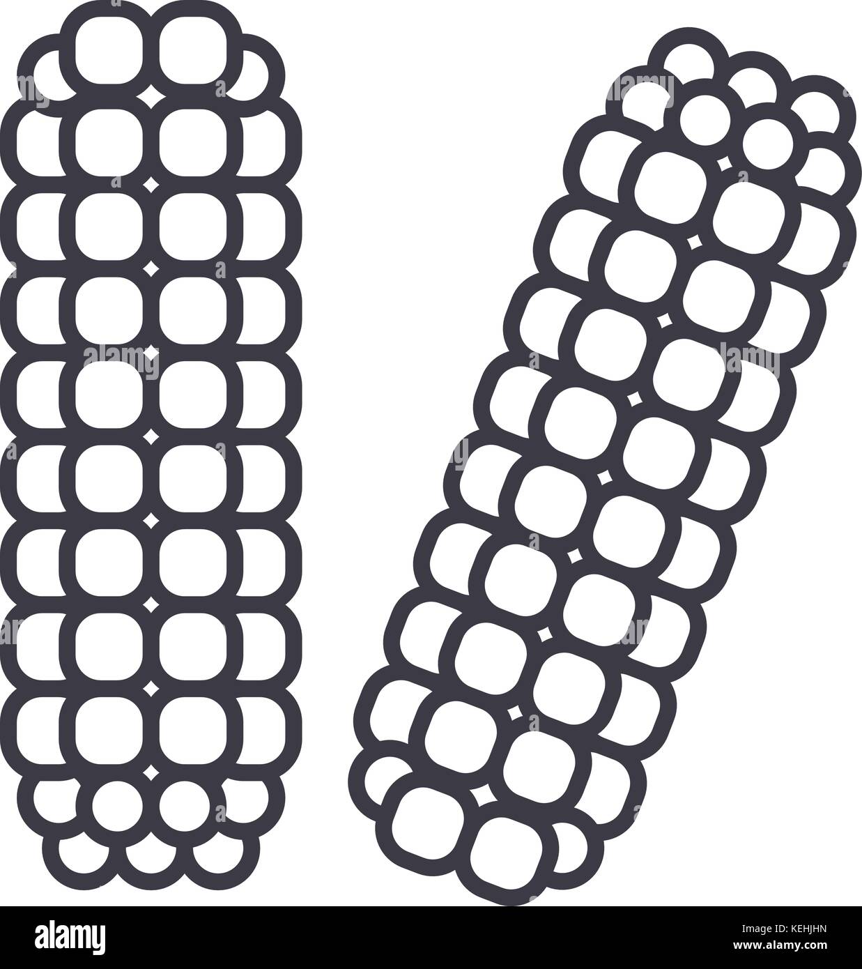 corn, maize vector line icon, sign, illustration on background ...