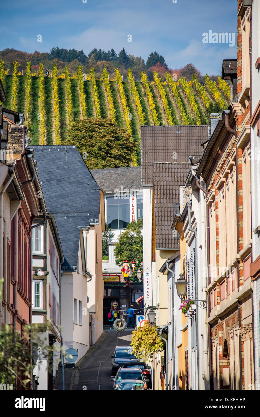 Old town and vineyards of Rüdesheim am Rhein, wine making town in ...