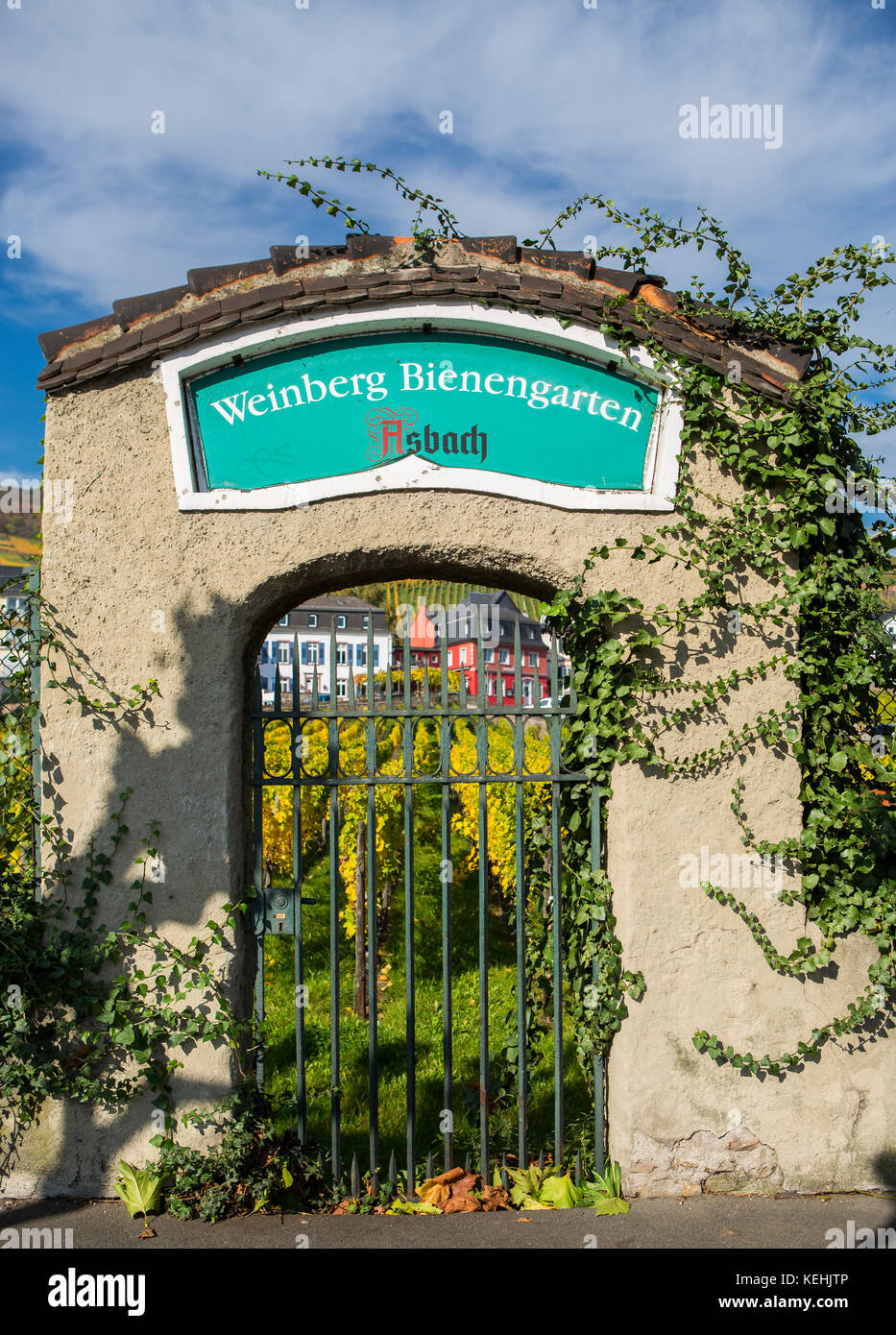 gate to vineyard in Rüdesheim am Rhein, wine making town in Germany Stock Photo