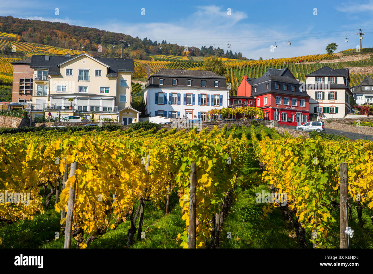 autumnal vineyards in Rüdesheim am Rhein, wine making town in Germany Stock Photo