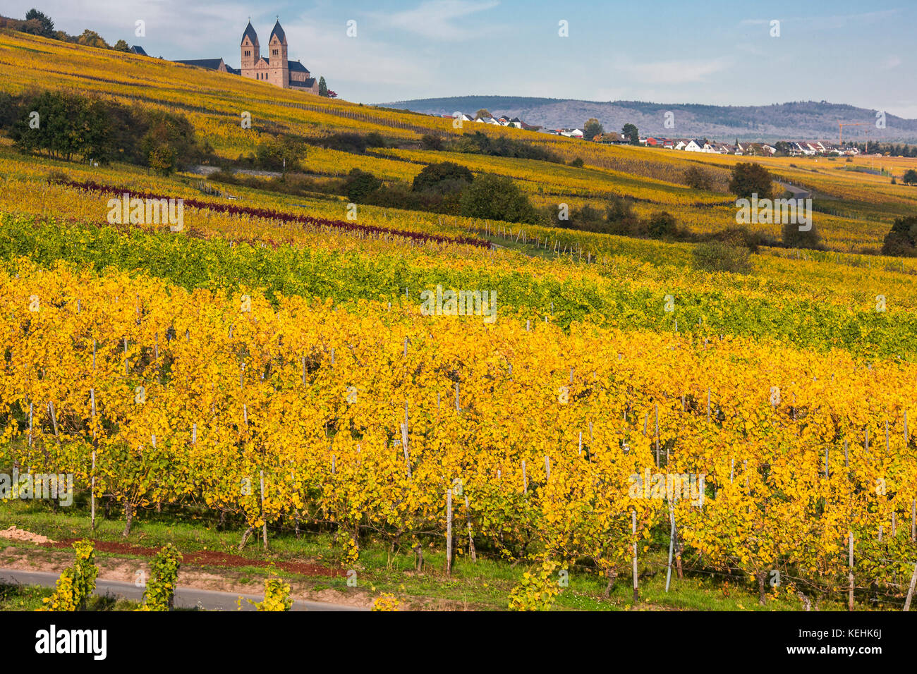 Rüdesheim am Rhein, wine making town in Germany, autumnal vineyards, view to Eibingen abbey (german Abtei St. Hildegard) Stock Photo