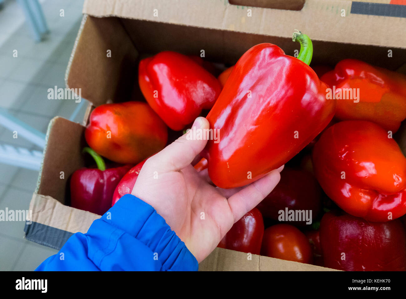 Hand of a woman holding red bell pepper Stock Photo