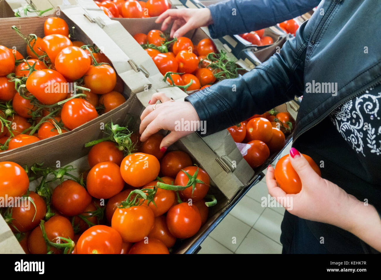 Caucasian woman selecting tomatoes Stock Photo