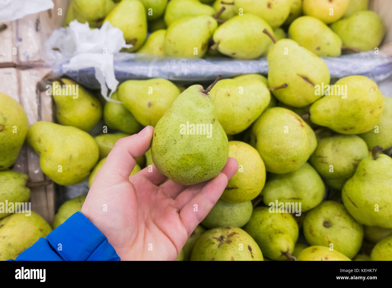 Hand holding green pear Stock Photo