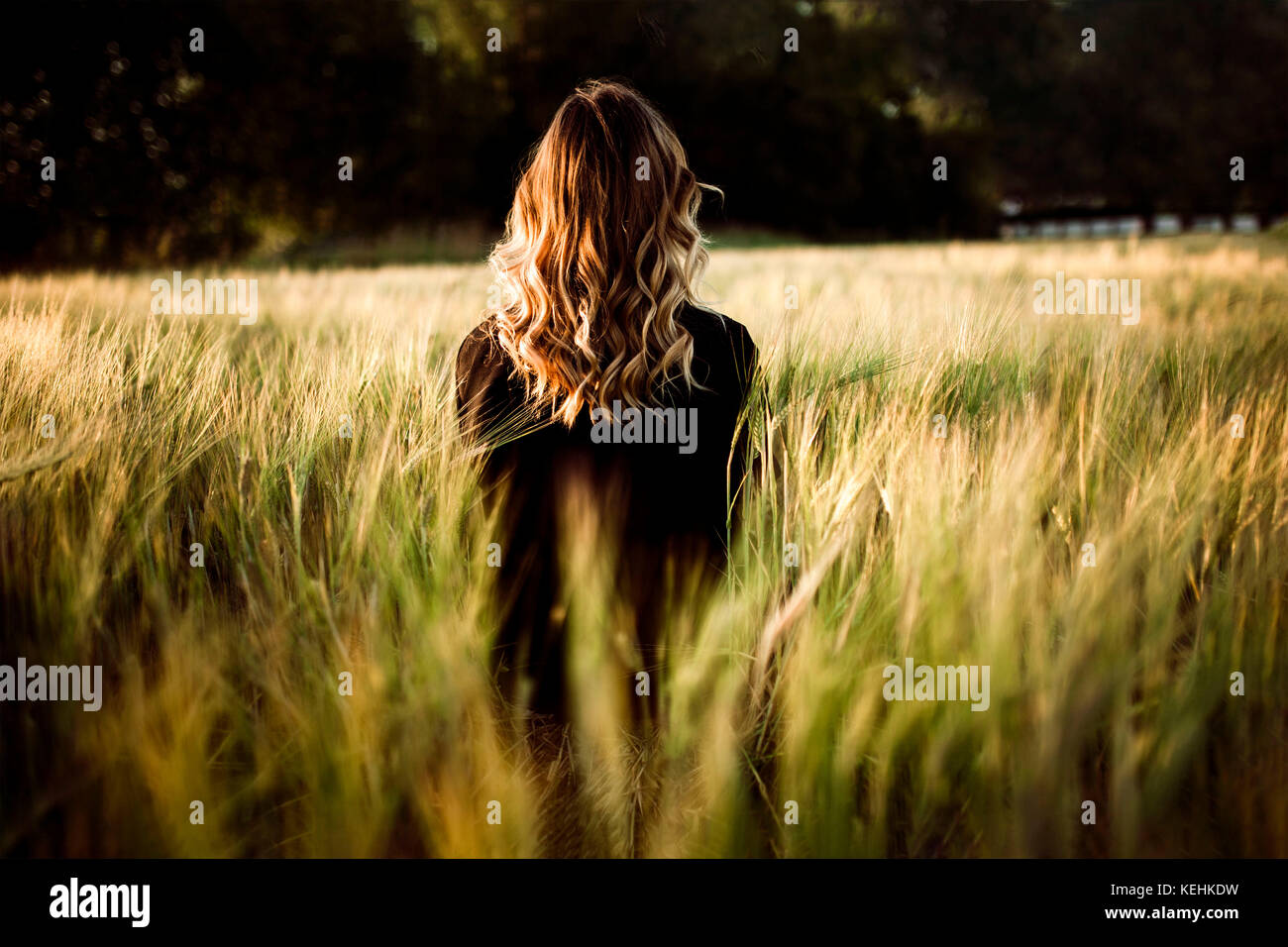 Woman standing contemplating in nature hi-res stock photography and ...