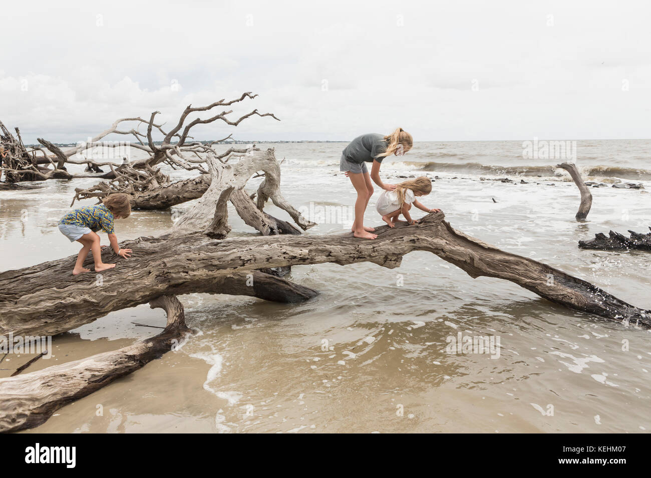 Caucasian by and girls examining driftwood on beach Stock Photo