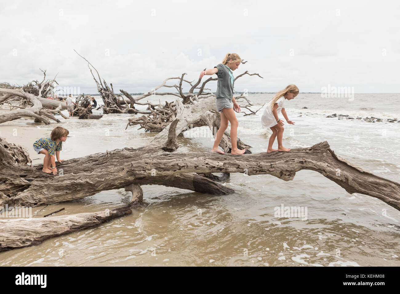 Caucasian boy and girls balancing on driftwood on beach Stock Photo