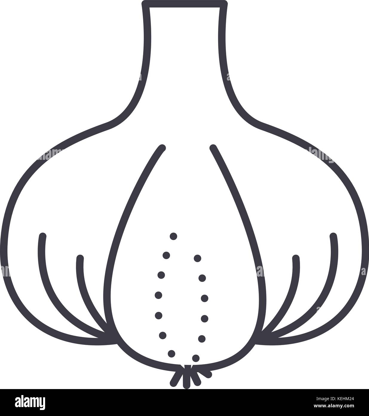 garlic vector line icon, sign, illustration on background, editable ...