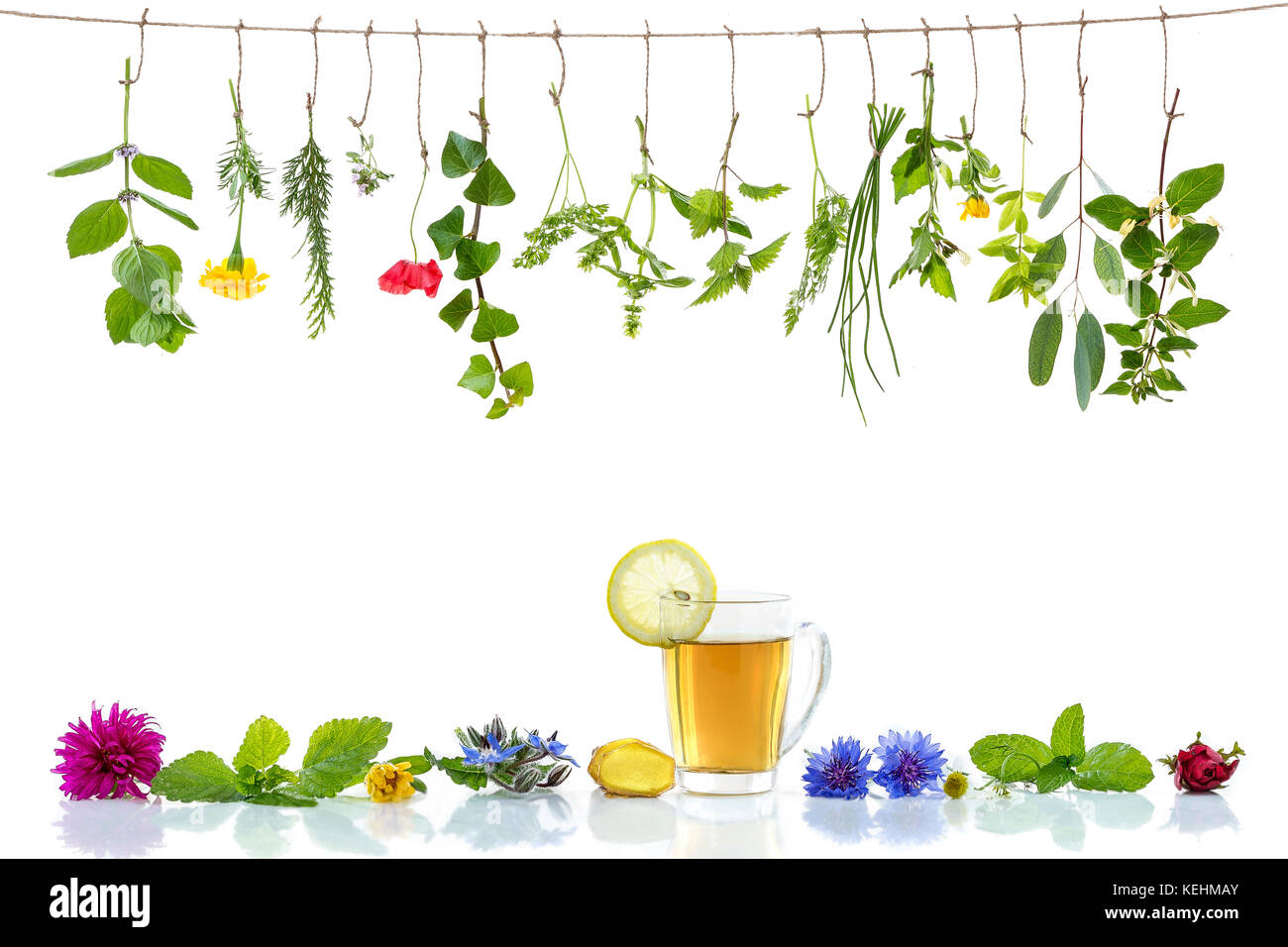 Various fresh herbs and herbal tea border on white background fresh medicinal plants hanging up Stock Photo