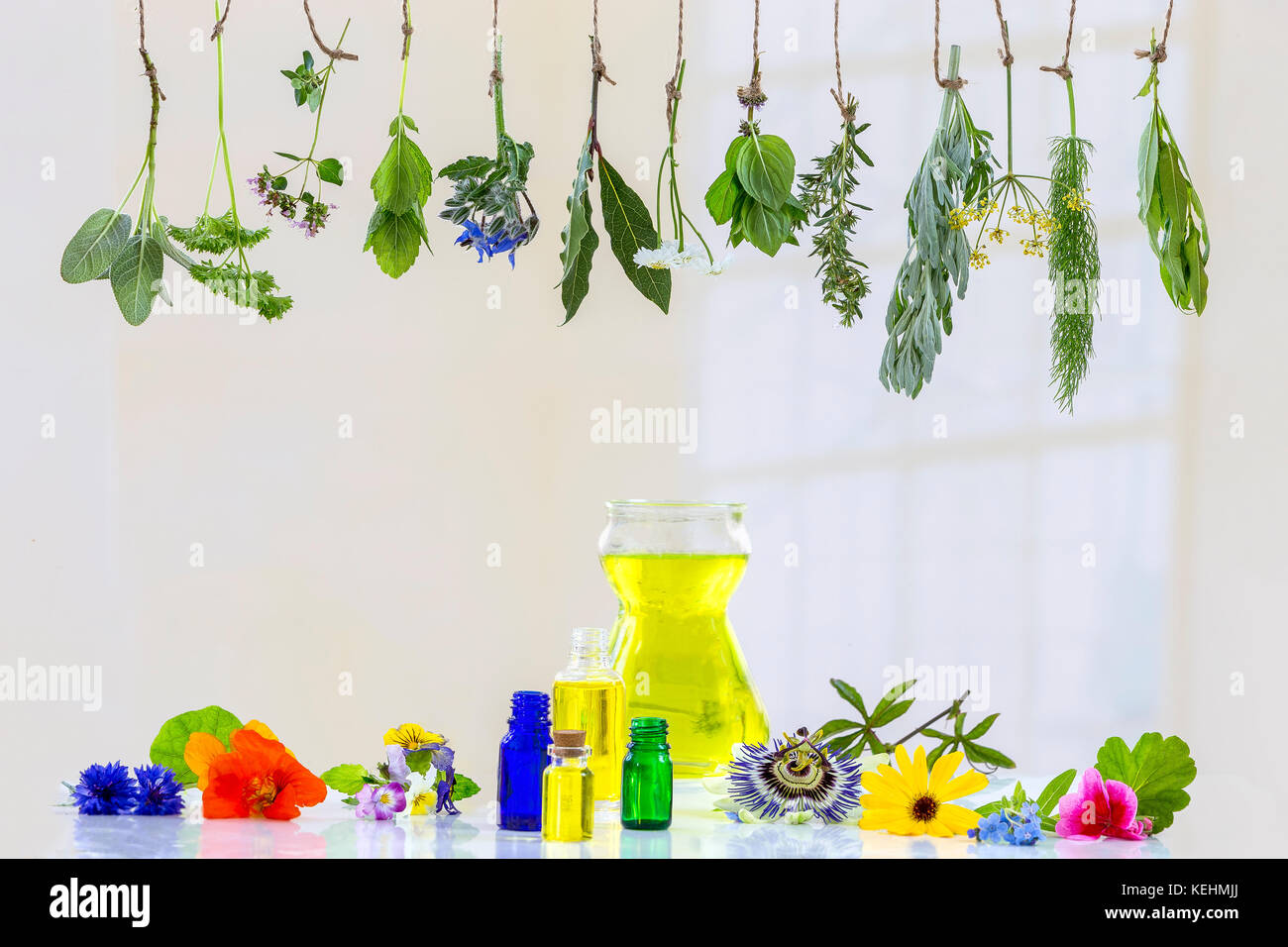 fresh herbs and essential oil in the midlle of . fresh medicinal plants hanging Preparing medicinal plants Stock Photo