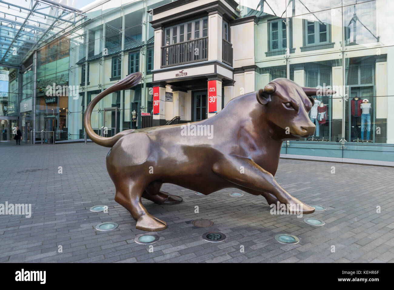 Bullring hollister online