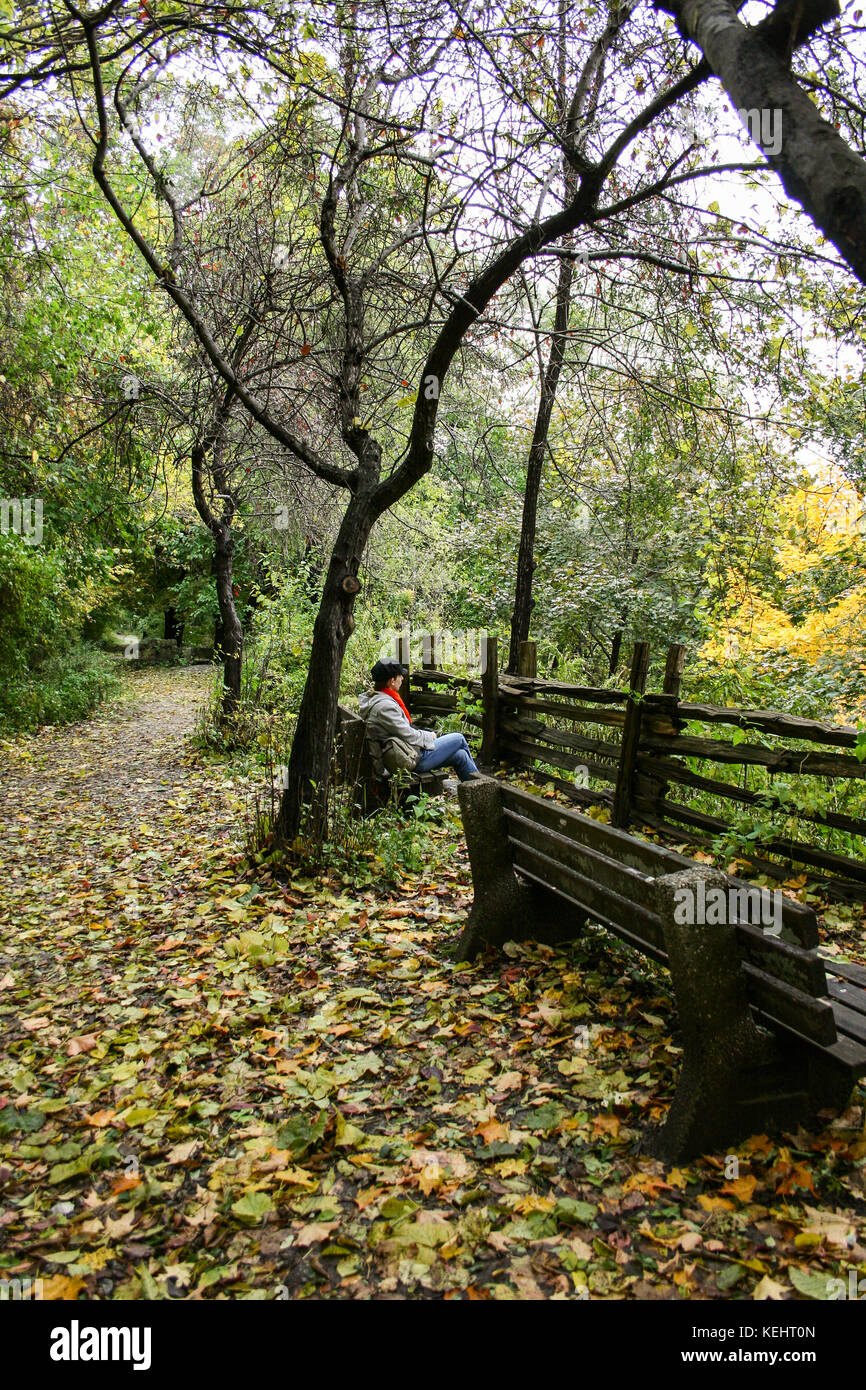 Woman sitting on the bench in the park in autumn Stock Photo - Alamy