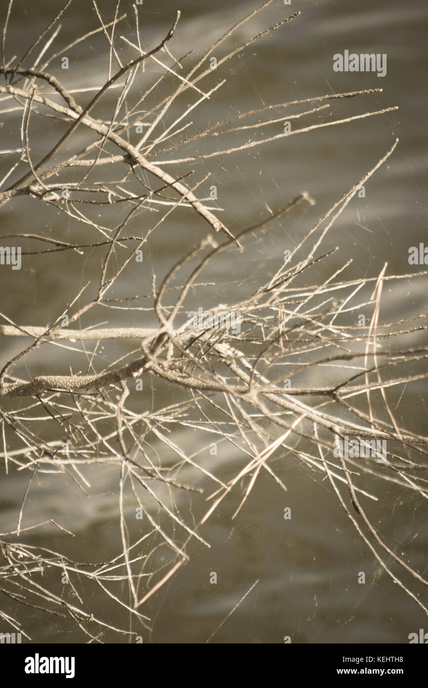 Panoramic gaze hi-res stock photography and images - Alamy