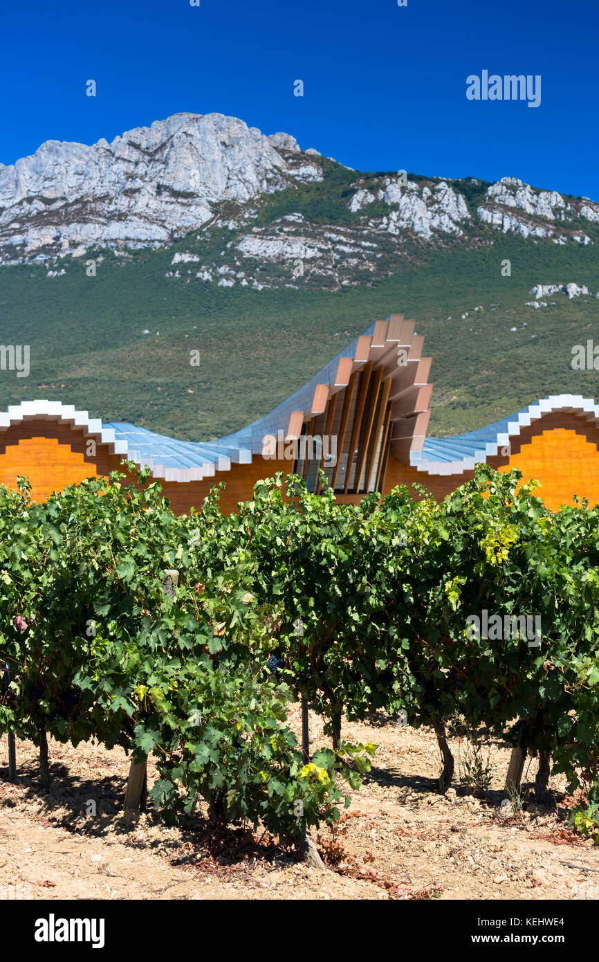 Ysios Bodega winery futuristic architecture at Laguardia in Rioja-Alavesa wine-producing area of Basque country, Spain Stock Photo