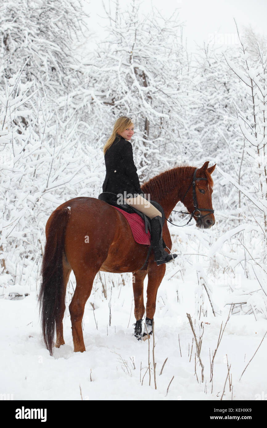 Young woman riding a horse through winter woodland Stock Photo