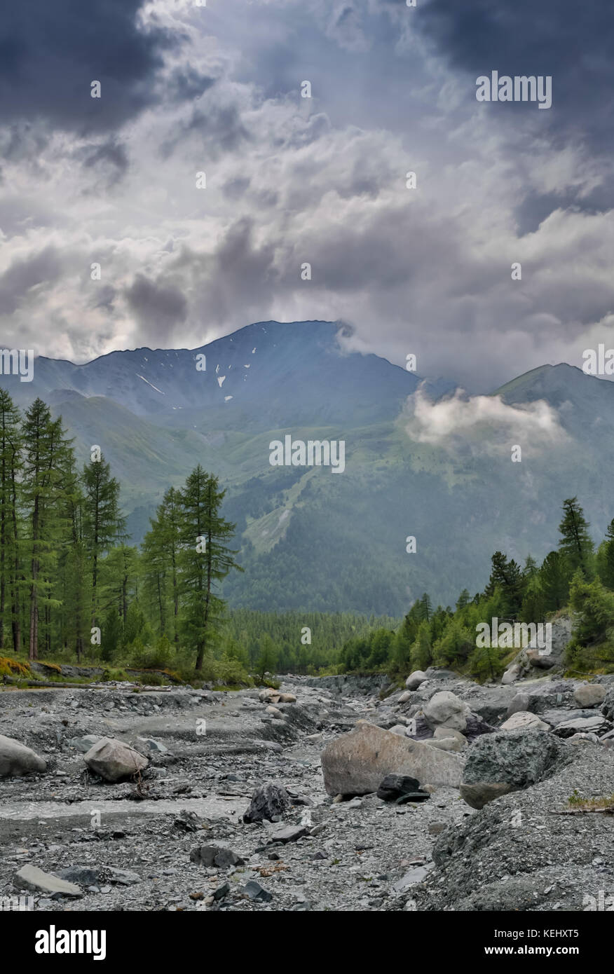 mountain river at the foot of the Belukha mountain, Altai Mountains, Russia. Stock Photo