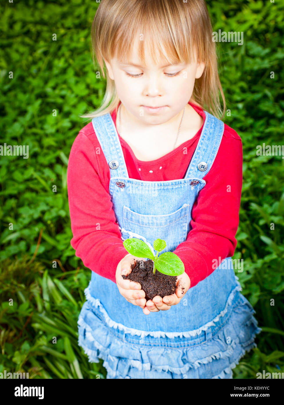 Little girl holding seeding with ground Stock Photo