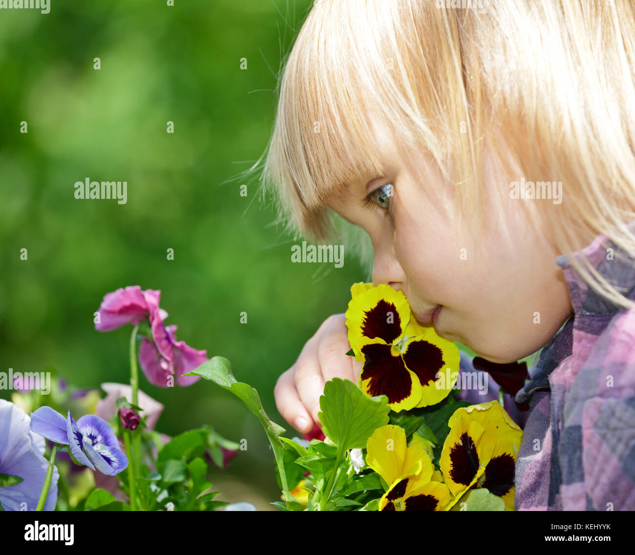 Little girl smelling flowers in a garden Stock Photo - Alamy