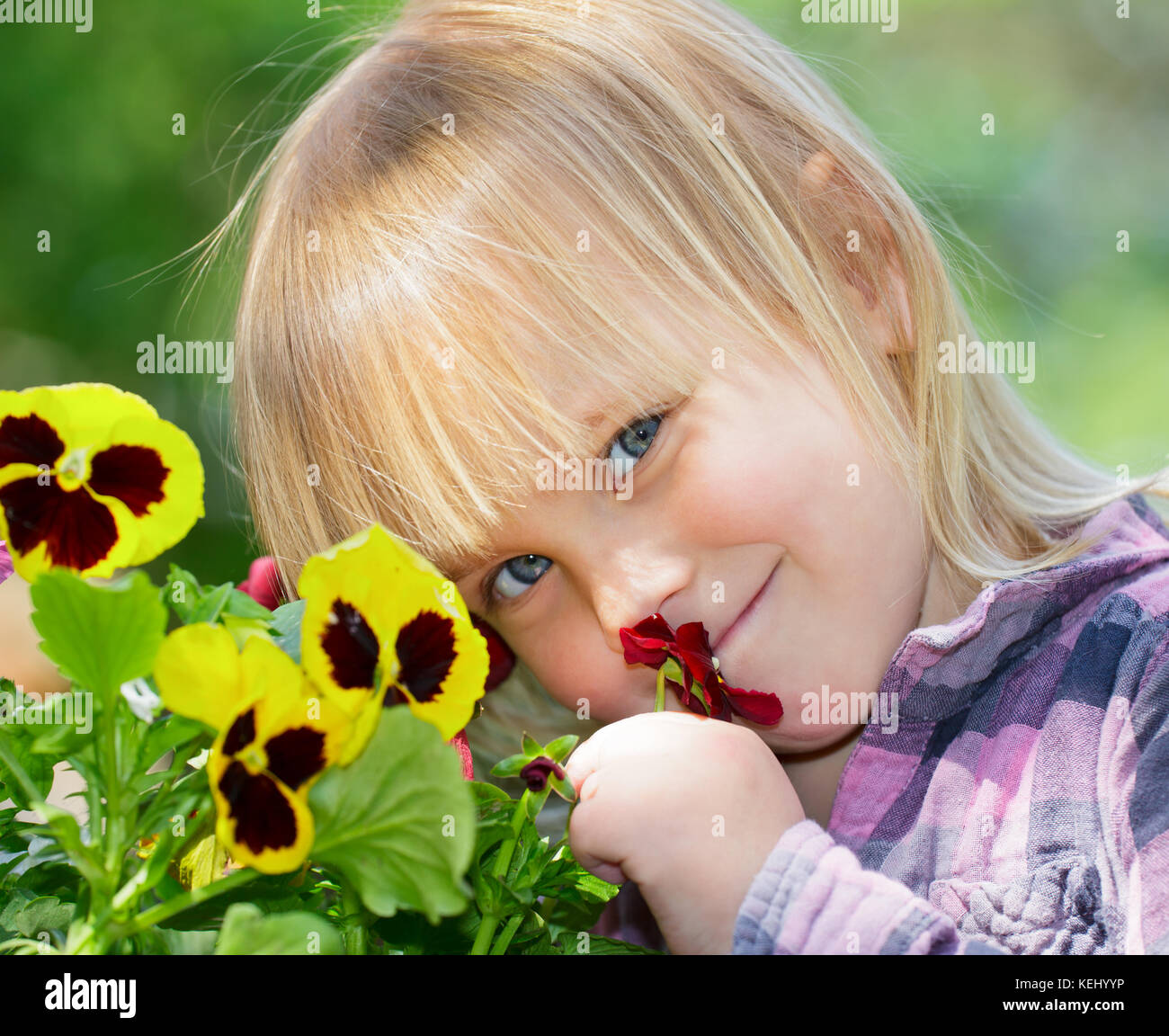 Little girl smelling flowers in a garden Stock Photo - Alamy