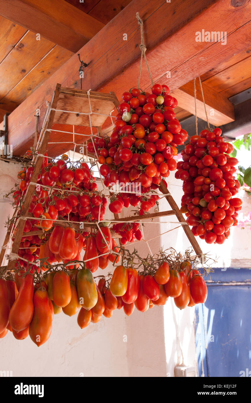 Close up of bunches of cherry tomatoes, hanged to wires to dry and preserve. Island of Salina, Eolie Archipelag, Sicily Stock Photo