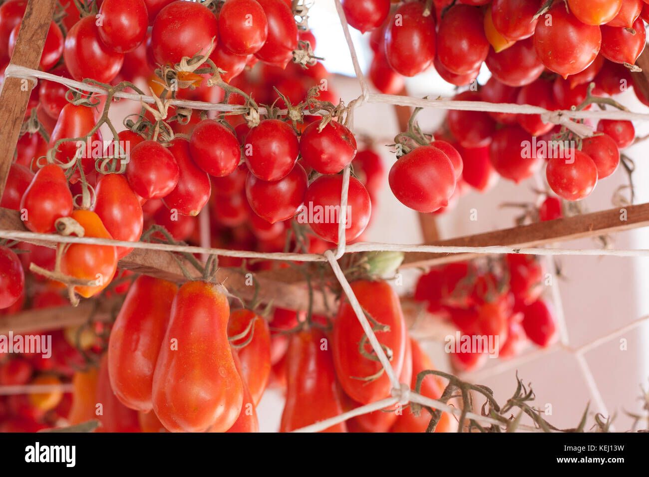 Close up of bunches of cherry tomatoes, hanged to wires to dry and preserve. Island of Salina, Eolie Archipelag, Sicily Stock Photo
