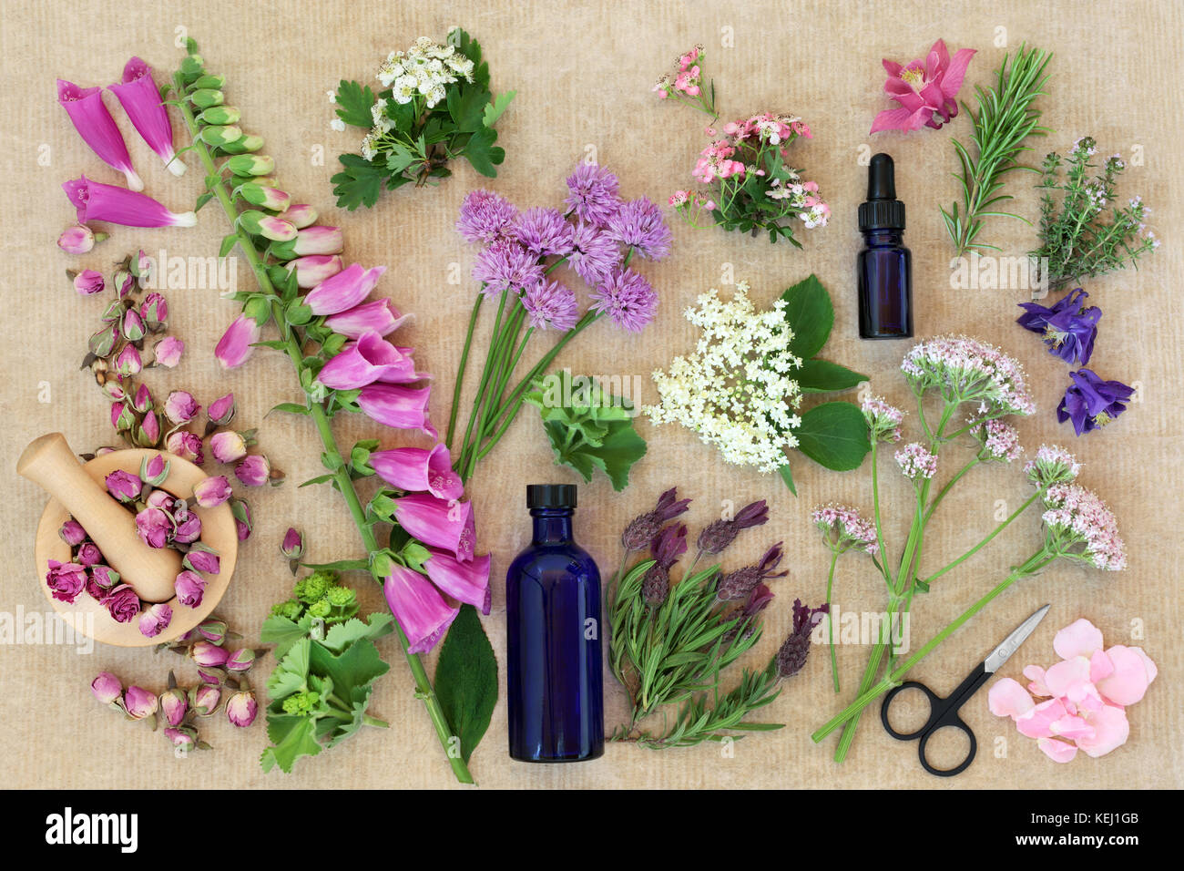 Medicinal herbs and flowers used in herbal medicine and aromatherapy