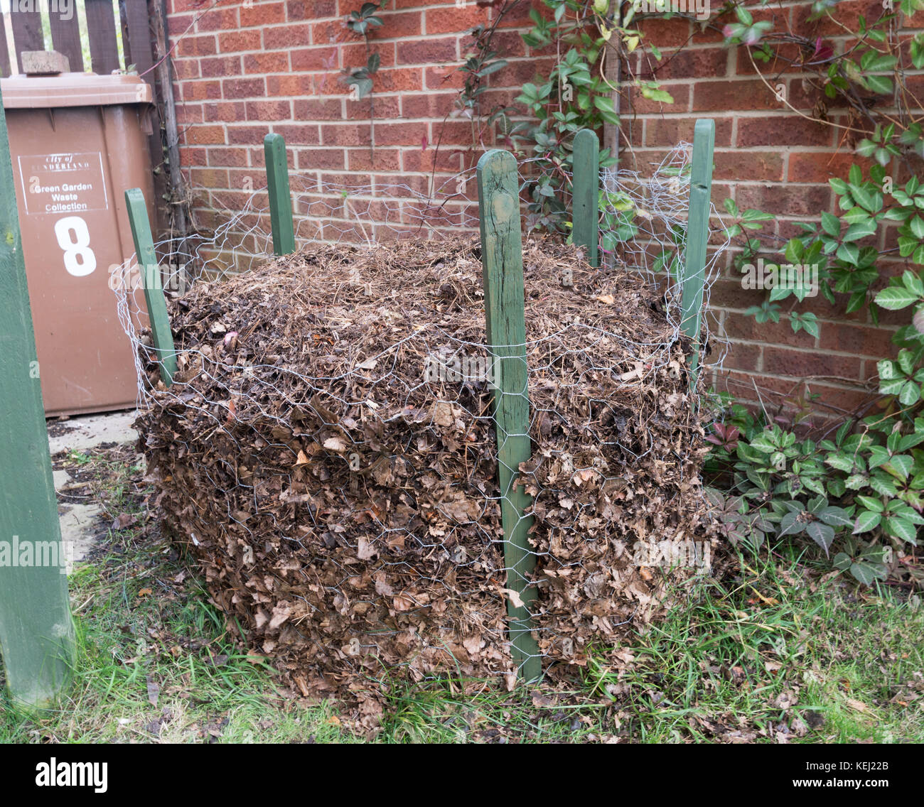 A chicken wire cage used to hold leaves to make leaf mould, England, UK Stock Photo