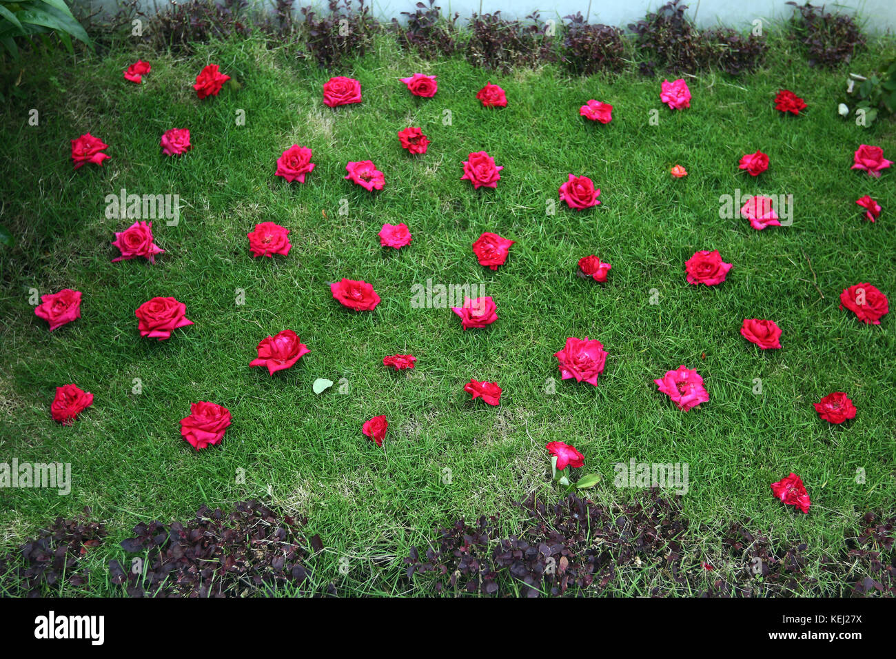 Dhaka Banani Graveyard Stock Photo Alamy