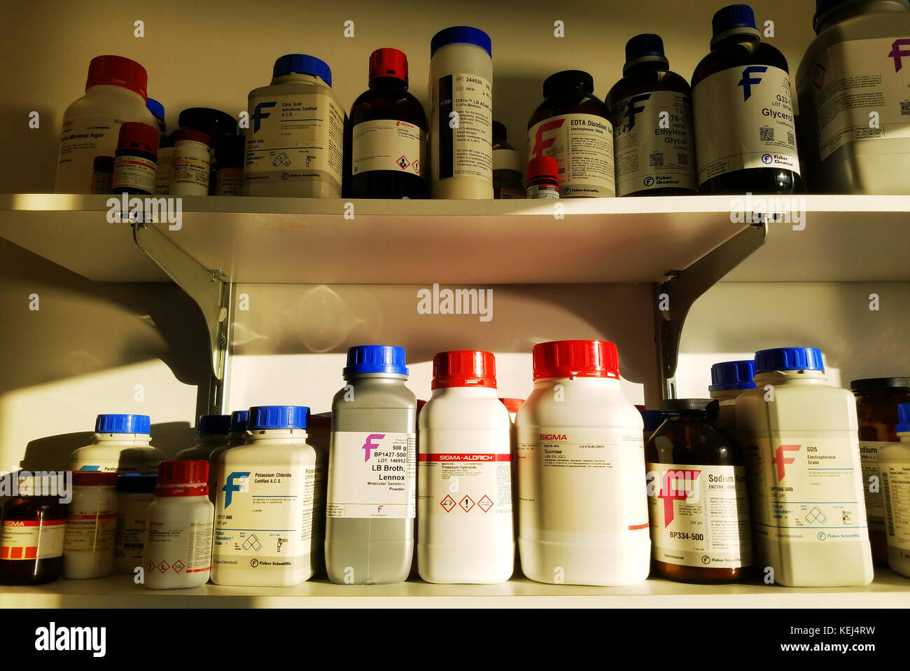 Shelves of chemicals in a laboratory Stock Photo Alamy