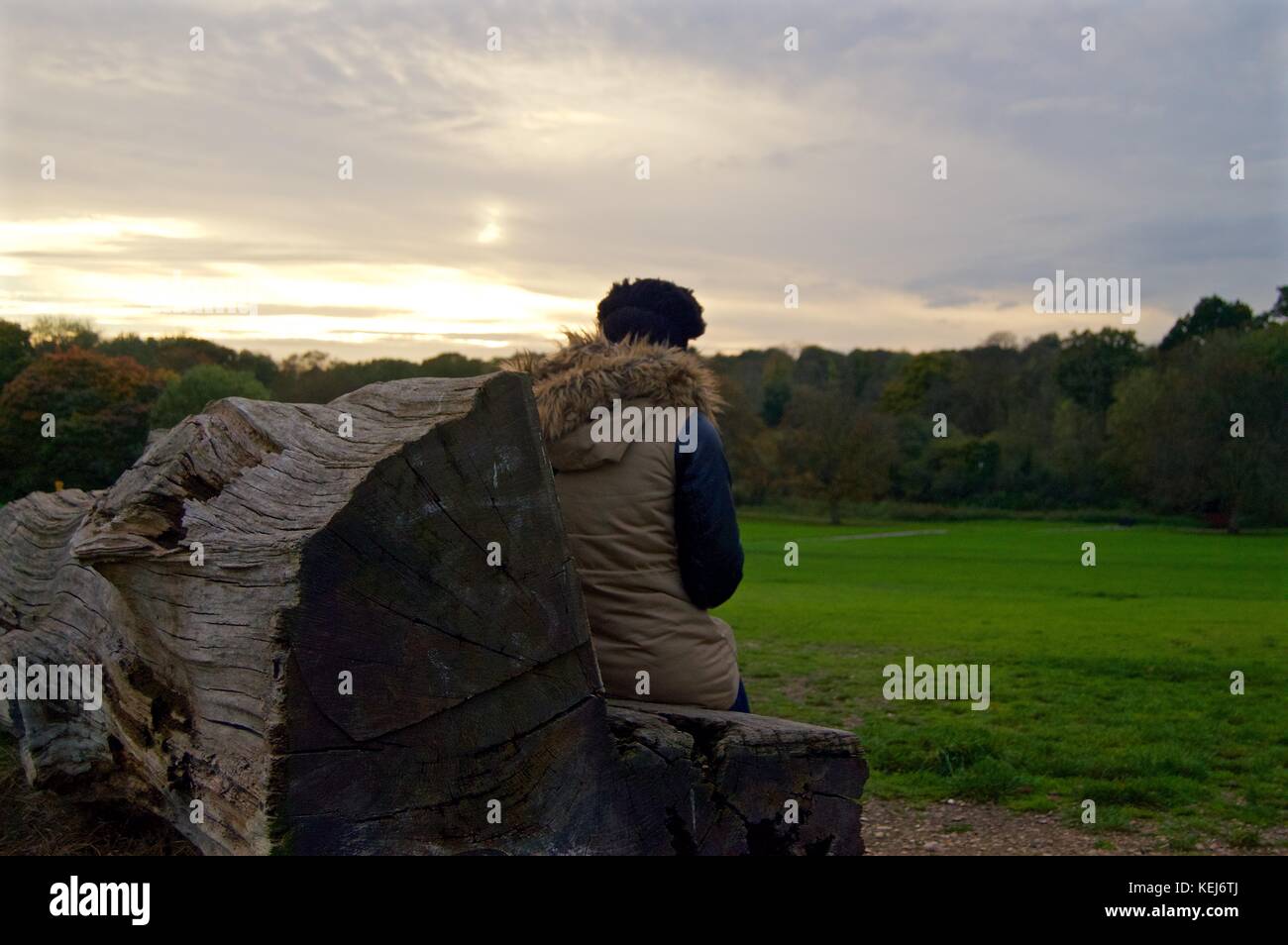 Black lady watching sunset in Cassiobury Park from carved log bench, Watford Stock Photo