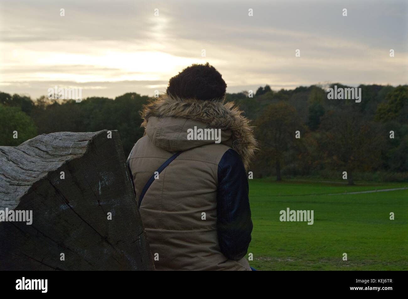 Black lady watching sunset in Cassiobury Park from carved log bench, Watford Stock Photo