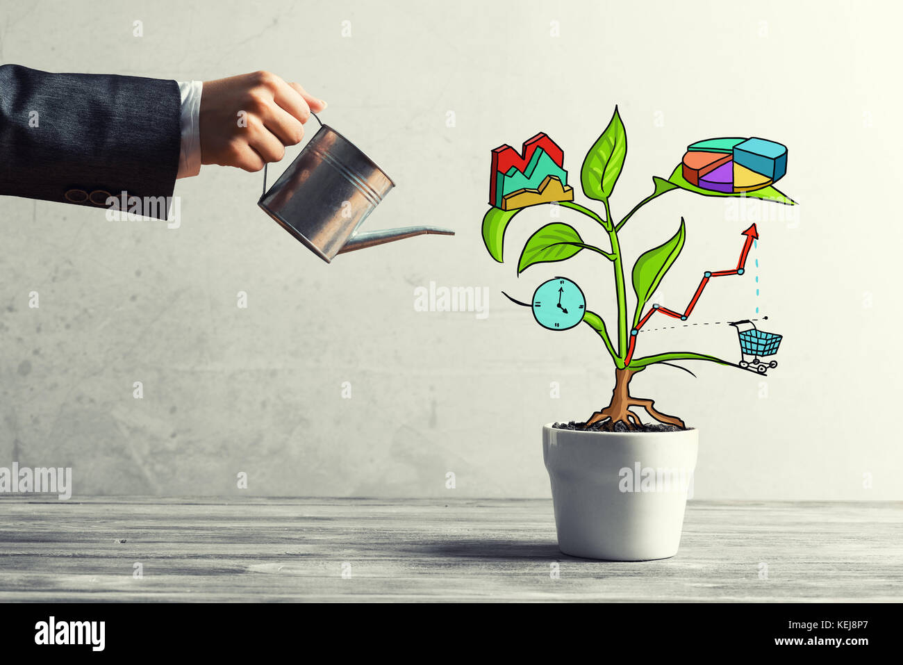 Drawn income tree in white pot for business investment savings and ...