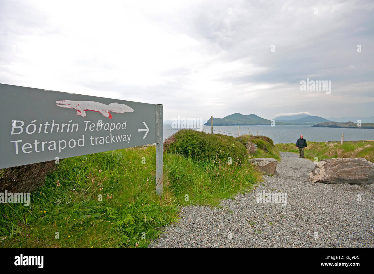 Path to Tetrapod trackway in Valentia Island, County Kerry, Ireland Stock Photo