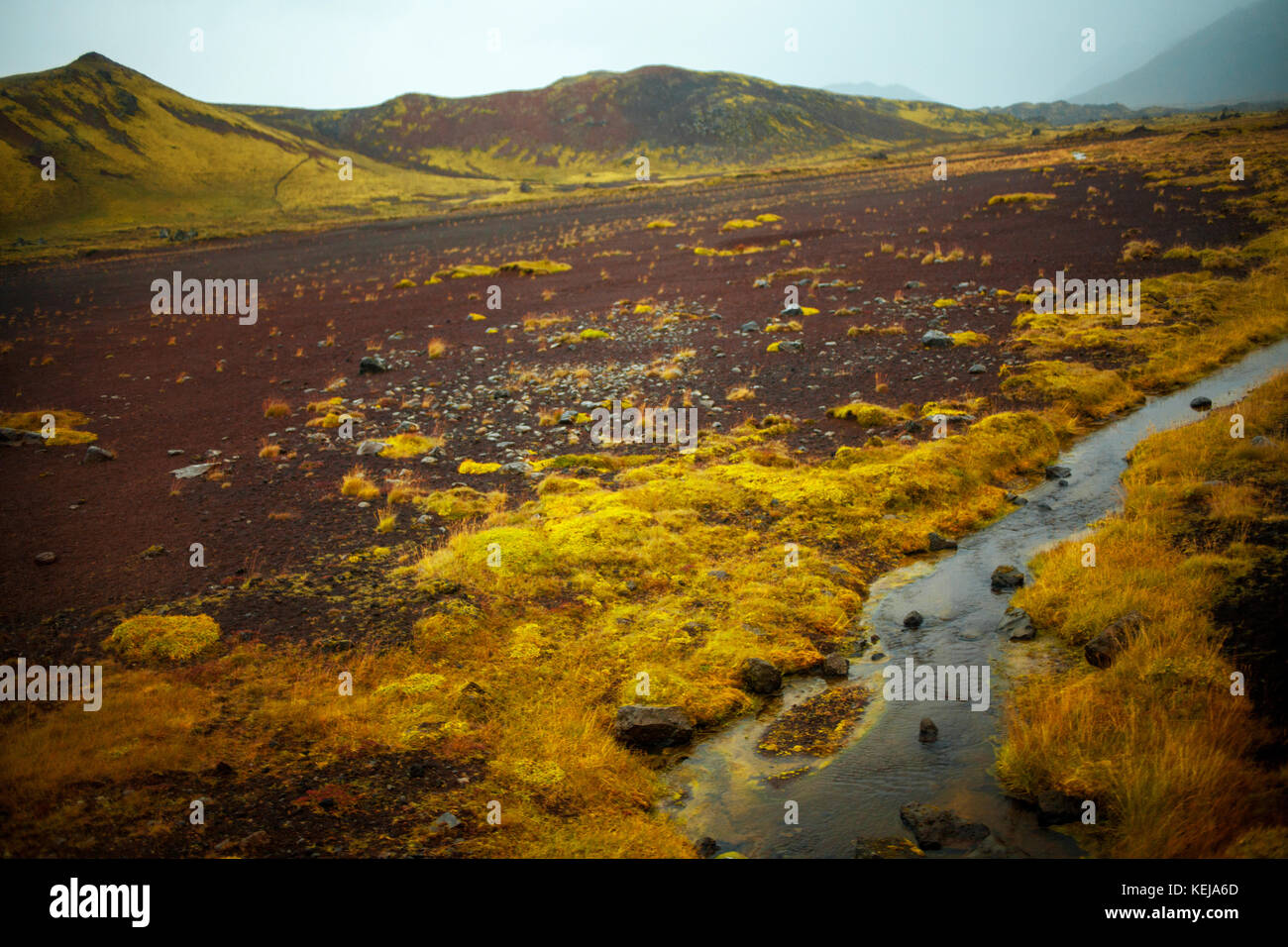 Vast lava fields in Iceland. Nordic landscape Stock Photo