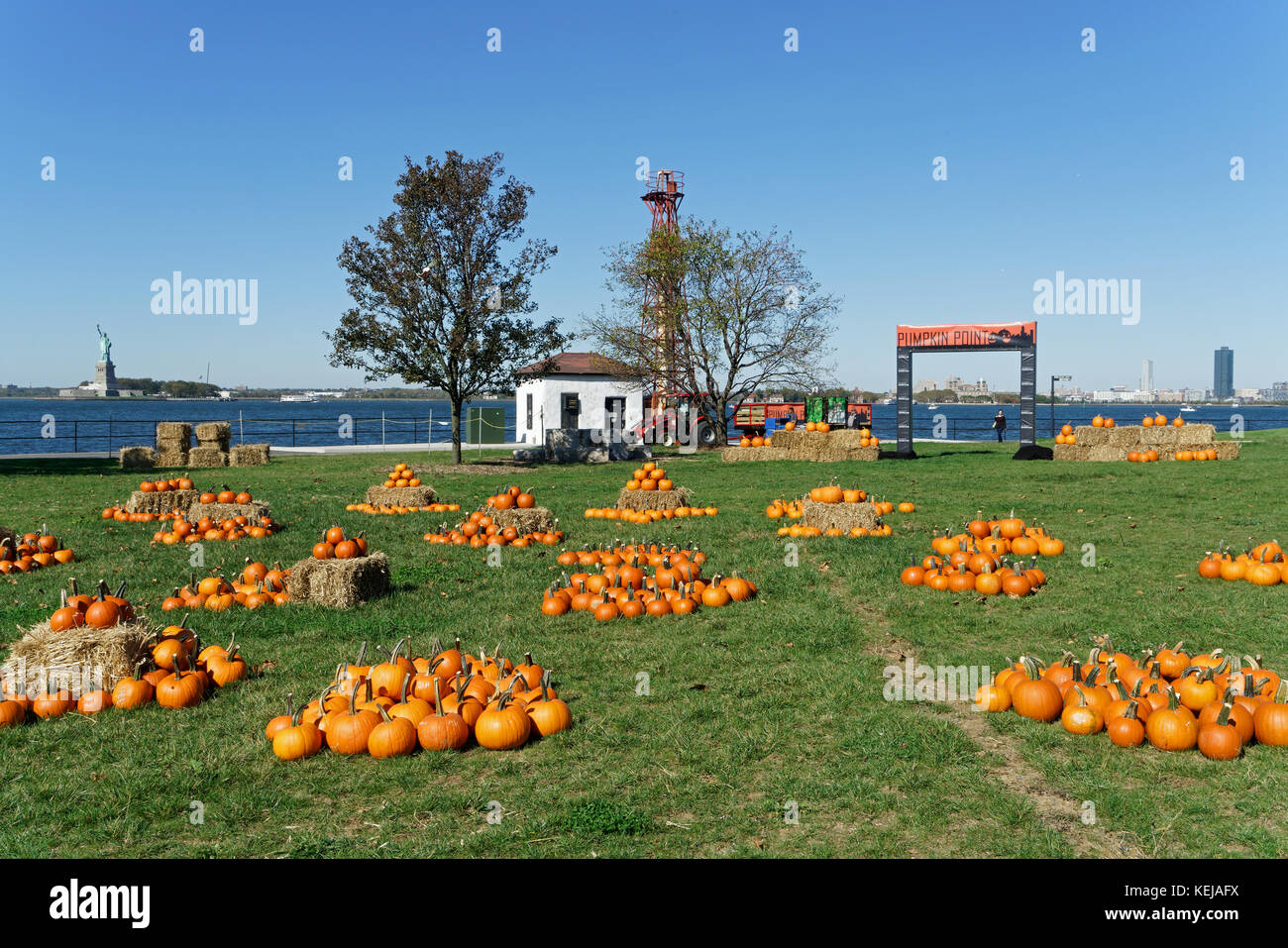 In celebration of Halloween, several thousand pumpkins were for sale on