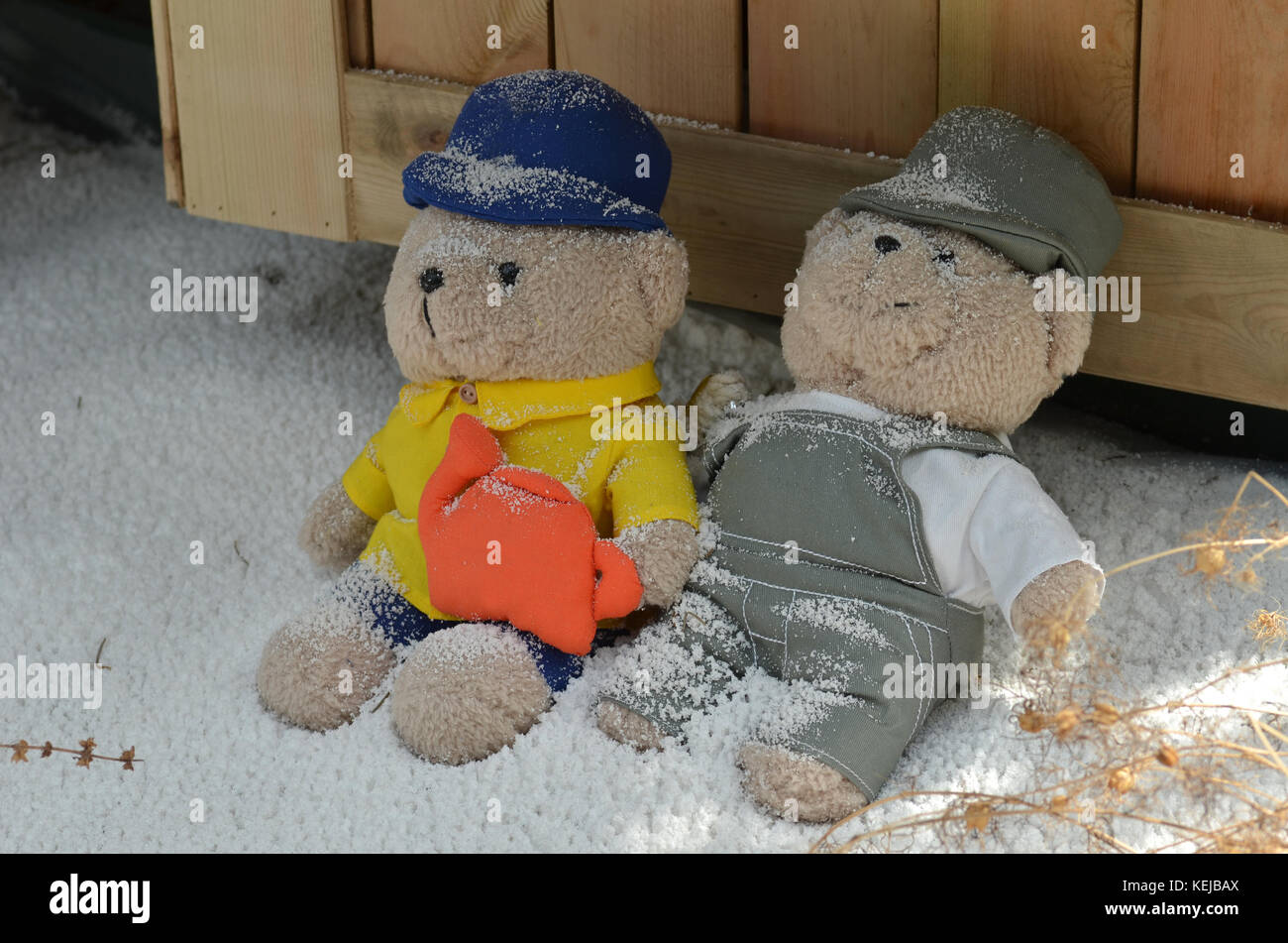 Brown teddy bear with Gift box on snow background Stock Photo - Alamy