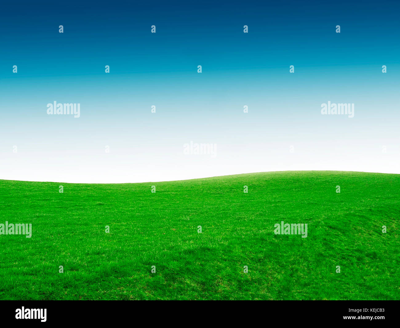 Green grass and blue sky Stock Photo - Alamy