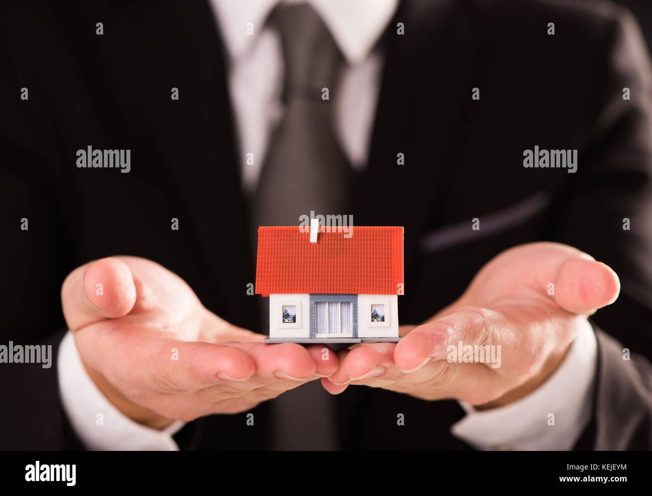 Businessman holding a model house in a palm hand Stock Photo - Alamy