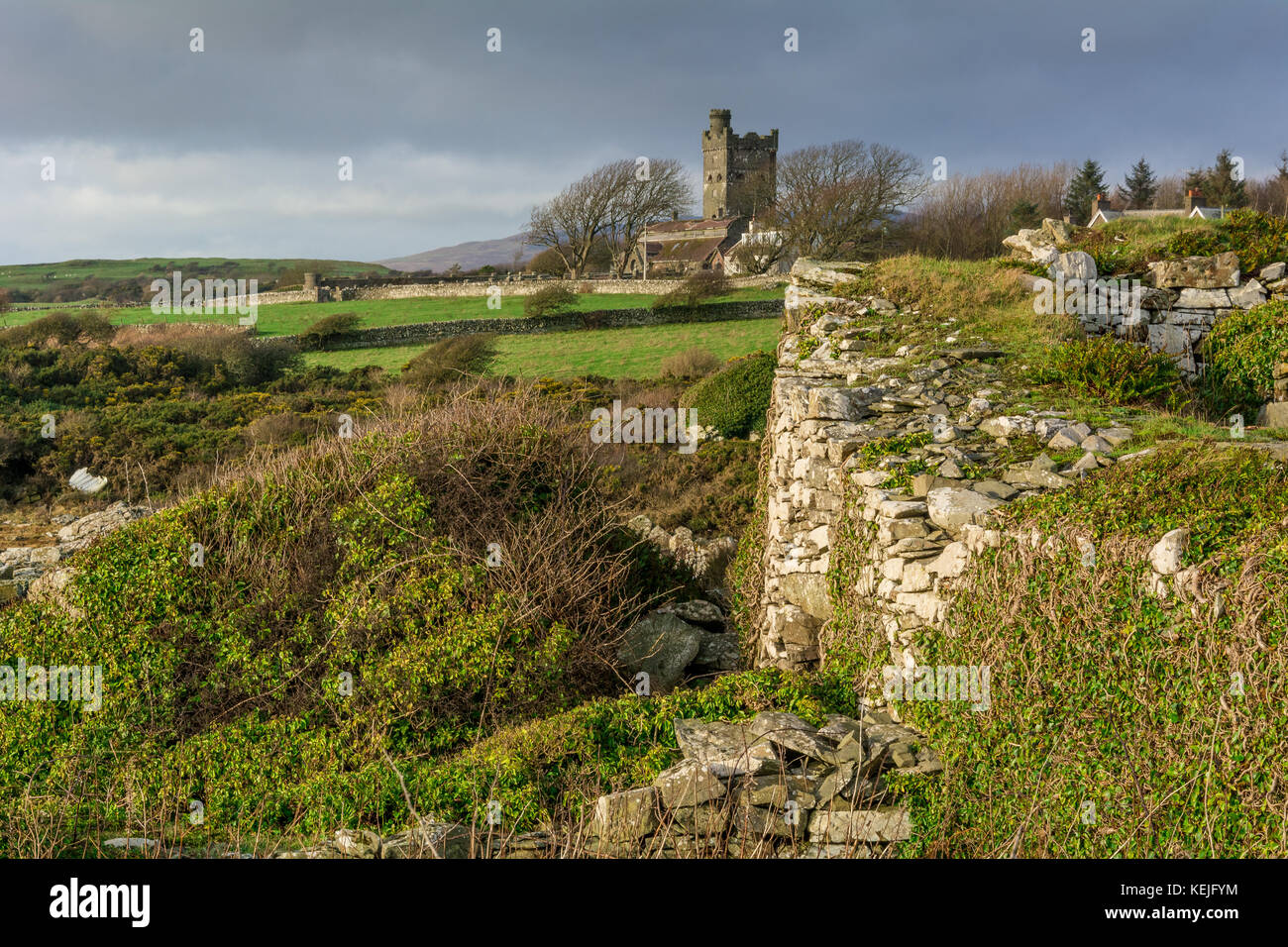 The Coo Place near Kirkcudbright, Dumfries and Galloway Stock