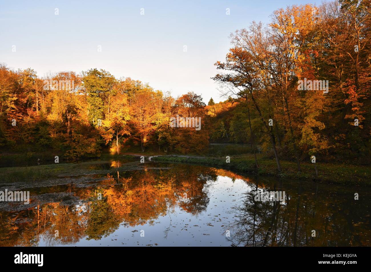 Autumn. Beautiful colorful leaves on trees in autumn time. Natural ...